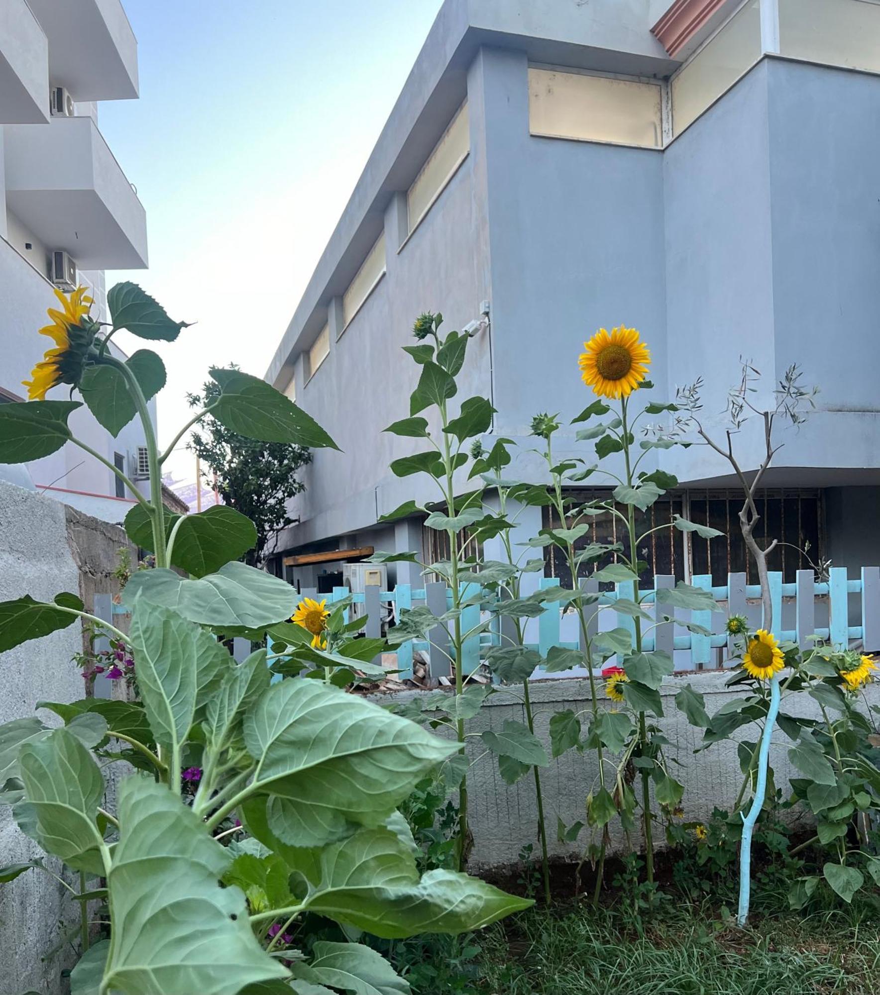 Sunflower Hotel Ksamil Eksteriør bilde